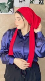 تربون بليسيه - Image 3