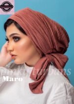تربون بليسيه - Image 11